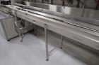 Babbco Direct Fired Tunnel Oven